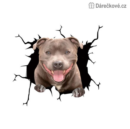 Samolepka na auto Bull Dog 30x30 cm | Dekorativní auto samolepka
