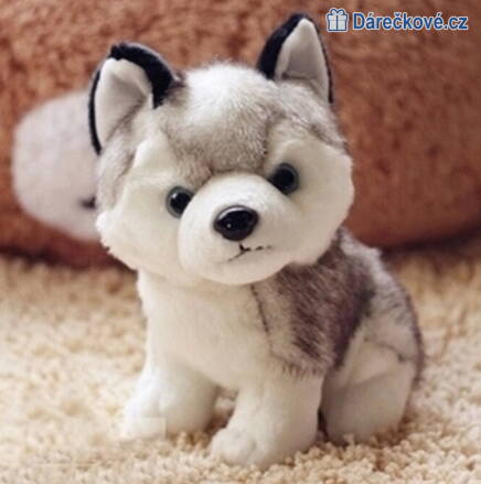 Plyšový pejsek Husky Kawaii, vel. 18cm 